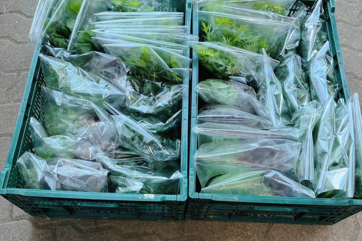 株式会社SHIHOUインキュベート様 (茨城県つくば市SHIHOUファーム)　通い箱