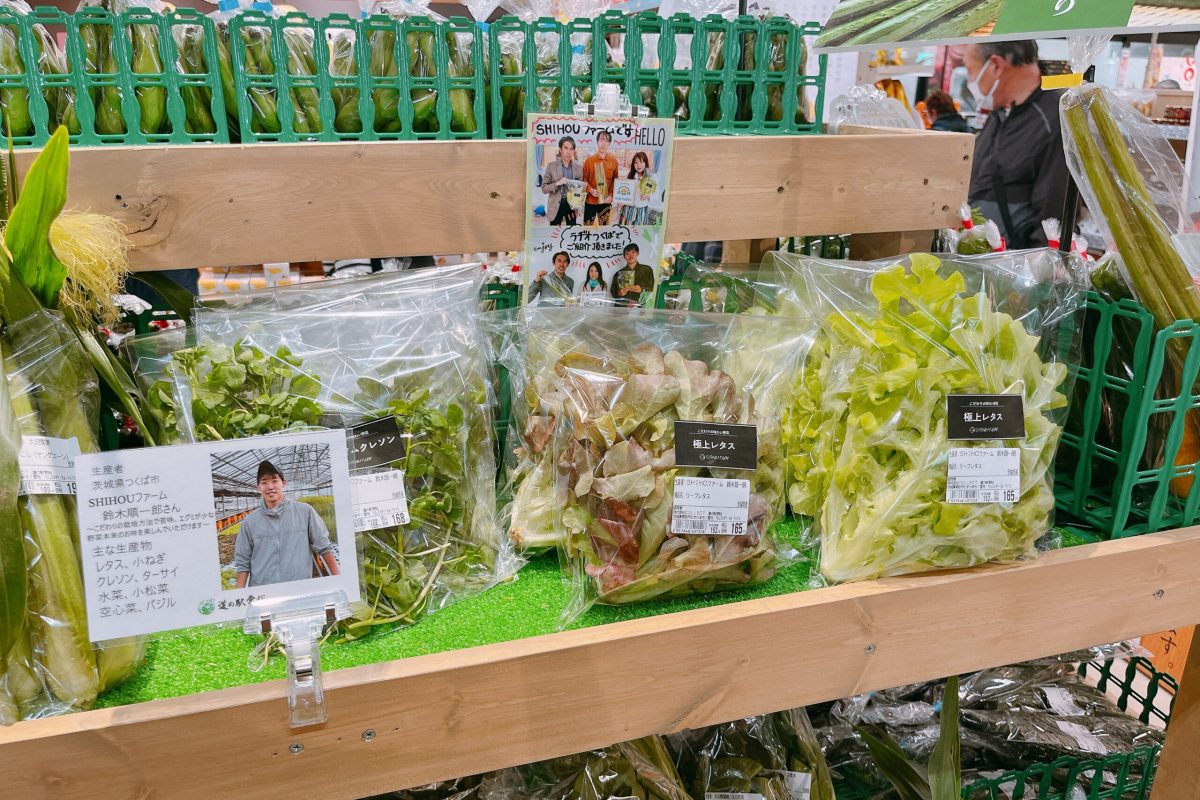 株式会社SHIHOUインキュベート様 (茨城県つくば市SHIHOUファーム)　販売