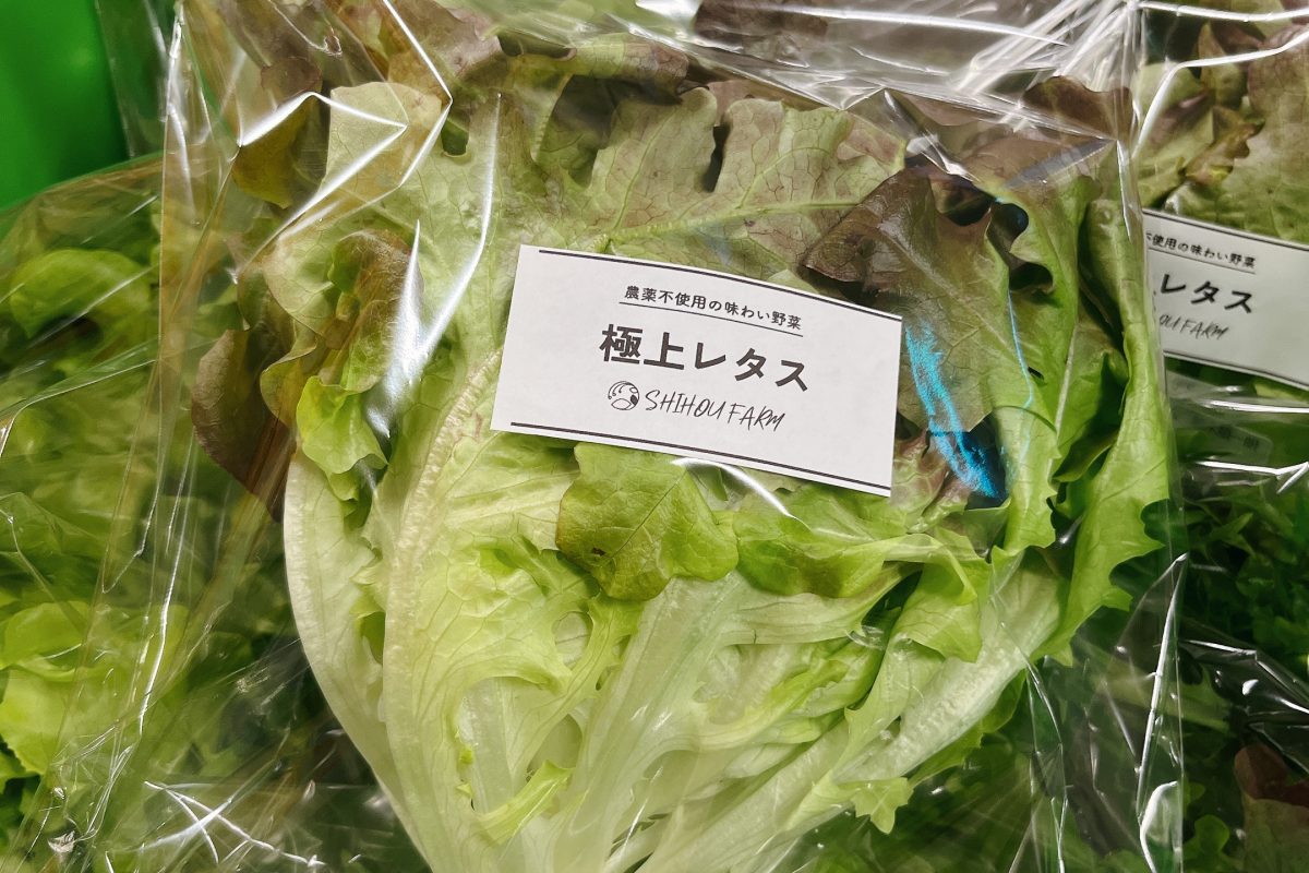 株式会社SHIHOUインキュベート様 (茨城県つくば市SHIHOUファーム)　販売